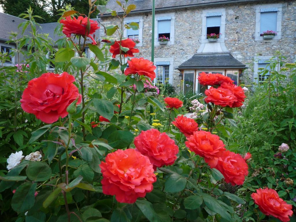 Domaine Vega Bed & Breakfast Saint-Arroman  ภายนอก รูปภาพ