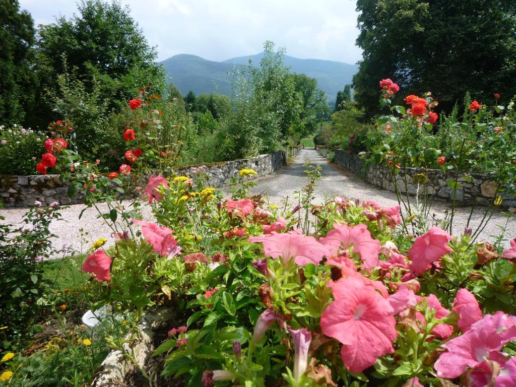 Domaine Vega Bed & Breakfast Saint-Arroman  ภายนอก รูปภาพ
